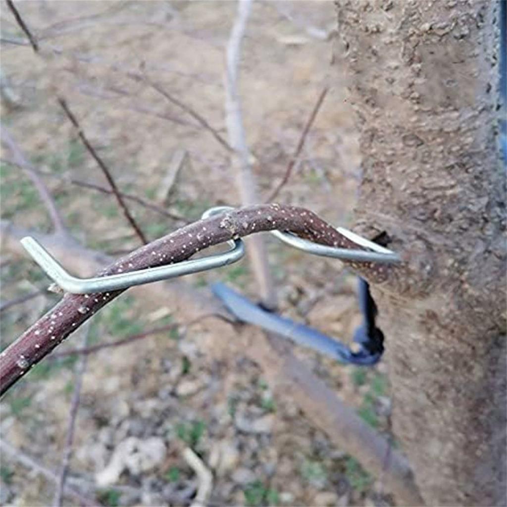Гибщик ветвей плодовых деревьев, инструмент для расширения ветвей M-образной формы, садовый распор для изменения угла наклона ветвей для обрезки, формирования и тренировки ветвей