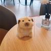 Милый плюшевый брелок в виде хомячка, мультяшная мягкая игрушка-кукла, брелок, милый подвес для сумки, украшение для подвешивания на рюкзак, подарки