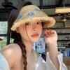 Weave Lafite Straw Hat Daisy Empty Top Hat Simple Beach Hat Holiday