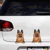 Dog Car Stickers Adhesive Dog Decal Water Resistant Funny Adorable Decals For Cars Wall Window Phone Motorcycle Decoration