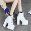 14CM Black Boots Women Heel Spring Autumn Lace-up Soft Leather Platform Shoes Woman Party Ankle Boots High Heels Punk