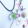 Beautiful Dandelion Necklace Eternal Flower Clavicle Chain Male and Female Couples Crystal Dried Flower Glass Ball Pendant Accessories