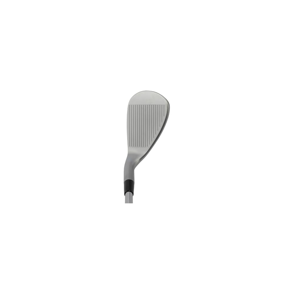 Kasco Dolphin Wedge DW-125G N.S.PRO 950GH neo 56 градусов Полугусиная шея Клюшка для гольфа