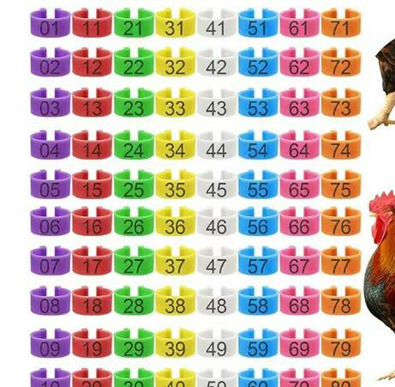 Птицеводческие маркировочные лазерно-гравированные цветные ножные кольца с открытой пряжкой