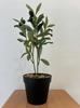 Artificial Olive Tree In A Realistic Pot 35Cm Nice Bush