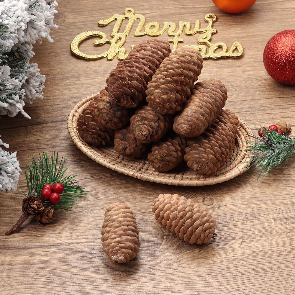 10Pcs Party Christmas Photo Props Dried Plants Natural Pine Cones Pinecone Xmas Tree Ornaments