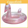Wholesale Cute Girl Underarm Swimming Ring With New Stock Sparkly Pink Swan Crown Design