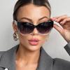 3pcs Fashion Cat Eye Sunglasses Women Purple White Gradient Frame Sun Glasses Large  Frame Design Female Shades UV400