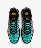 Nike Кроссовки Air Max Plus для мужчин DM0032-022