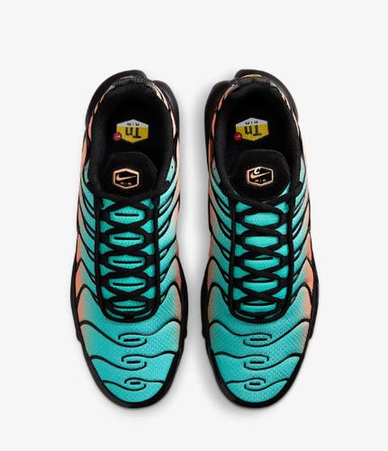 Nike Кроссовки Air Max Plus для мужчин DM0032-022