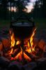 8L Cast Iron Cauldron Campfire Cooking Pot