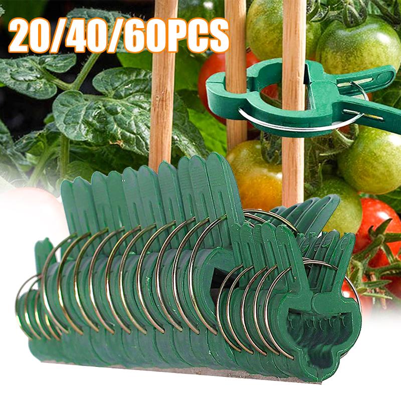 20/40/60 шт. зажимы для прививки теплицы зажим подставка пластиковый зажим для растений крепежный кронштейн фиксированный стебель семени поддержка прививки растений