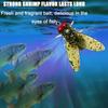 20PCS Durable Bionic Fly Fishing Bait Simulated Flies Trout Jigs Swimbaits  Fishing Gear