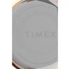 Часы Timex TW2V24600 City