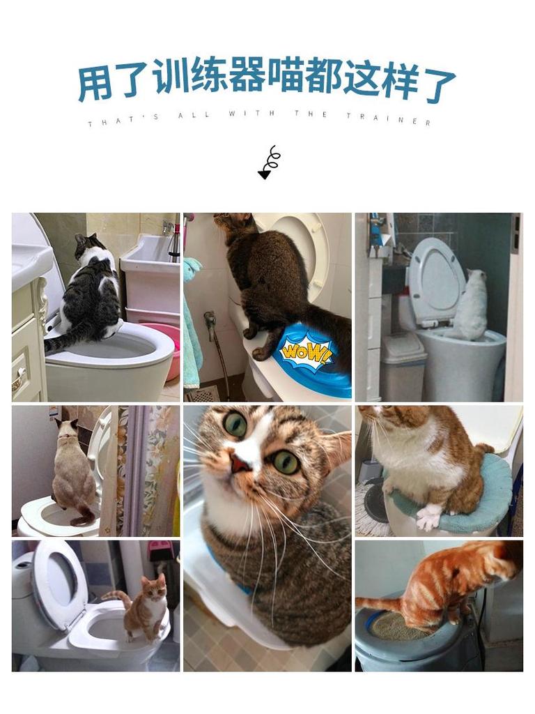 Cat Toilet Trainer & Mat - Secure Litter Tray Holder for Easy Bathroom Training
