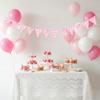 Pink Color One Silly Goose Party Triangle Banner Theme Design Goose Theme Garland  1st Birthday