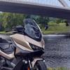 Для HONDA FORZA750 Forza 750 NSS750 NSS 750 2025 Увеличенное Мотоциклетное Ветровое Стекло Дефлекторы Ветра Черное Ветровое Стекло