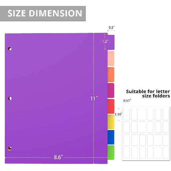 Binder Dividers with Tabs, 8 Tab Sturdy Plastic Dividers for 3 Ring Binder, Colorful Dividers for 3 Ring Binder Page Protectors, 3 Ring Binder