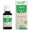 Herbalgem Macérat Concentré Tilleul Bio 30ml