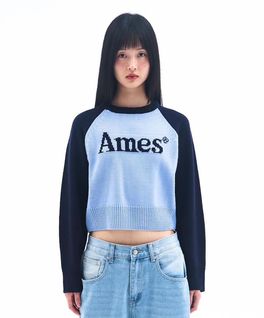 AMES-WORLDWIDE Basic Raglan Pullover Knit Blue