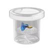 Suspension Floating Fish Breeding Isolation Box Transparent Fish Tank Hatching Box  Spawning Room