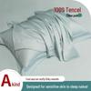 100% Lyocell Tencel Pillowcases - Cool Summer Ice Silk, 48x74cm
