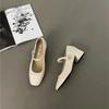 Fashion Thick Heel Mary Jane Single Shoes Women's New Spring French Mid Heel Evening Black Square Head Small Leather Shoes