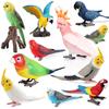 Oenux Bird Forest Animal Parrot Macaw Cockatiel Cockatoo Agapornis Puffin Model Solid PVC Garden Decoration Education Kids Toy