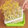Hydroponic Sprouting Seedling Tray (2-Pack)