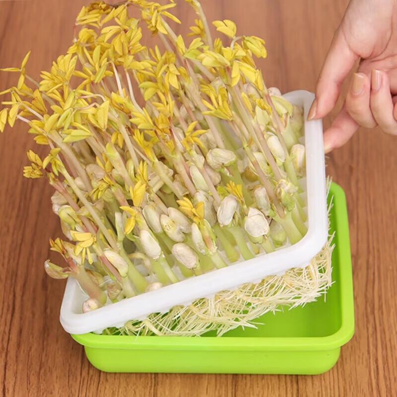 Hydroponic Sprouting Seedling Tray (2-Pack)