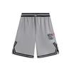 Баскетбольные шорты Li Ning мужские Shark Gray AAPT033-6