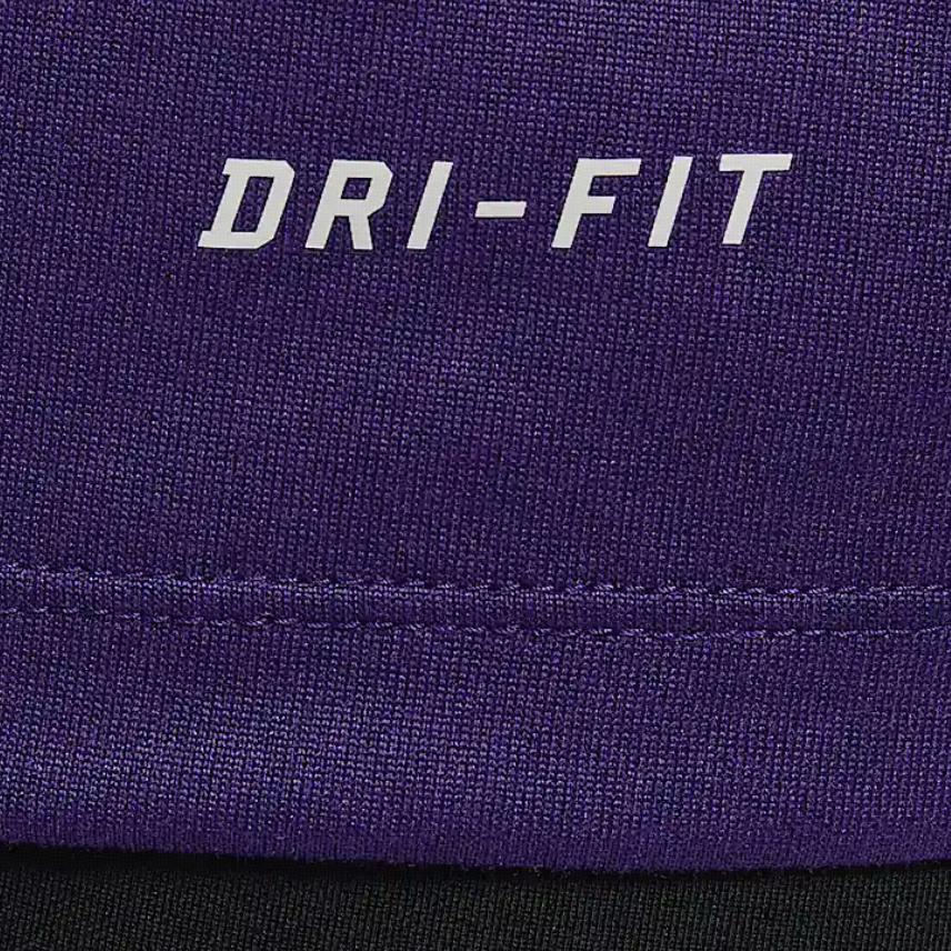 Nike Женская футболка Dri Fit Regular Садовый фиолетовый IB8899-547