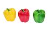 Speed Mao Lifelike Paprika and Bell Pepper Food 3 Set of 9 Realistic, Samples, Colors,