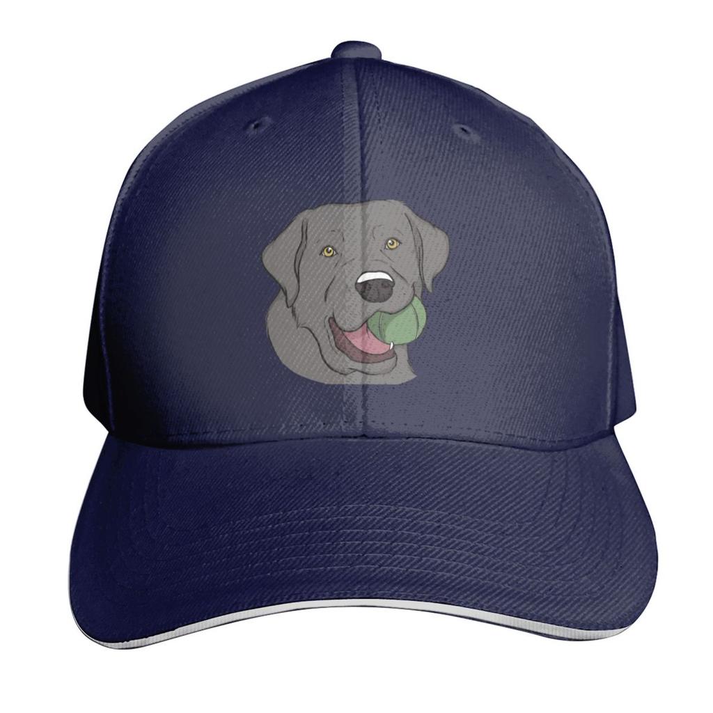Silver Labrador With Ball Baseball Cap Contrast Two Tone Brim Snapback Flat Bill Strapback Dad Hat
