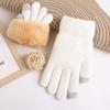 Touchscreen Knitted Fleece Gloves Winter Warm Furry Warm Mitts Female's Gloves  Outdoor Sport