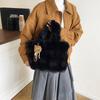 Зимняя новая мода и высококлассная корейская плюшевая сумочка простая и универсальная большая вместительная зарубежная трендовая сумка-тоут
