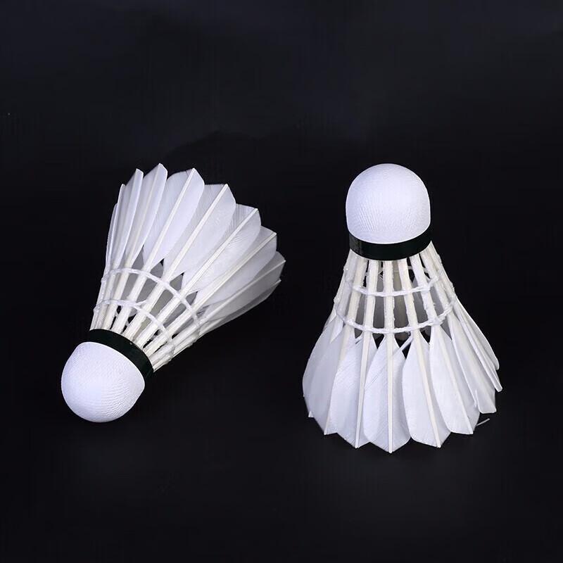 RSL Training Badminton Shuttlecock