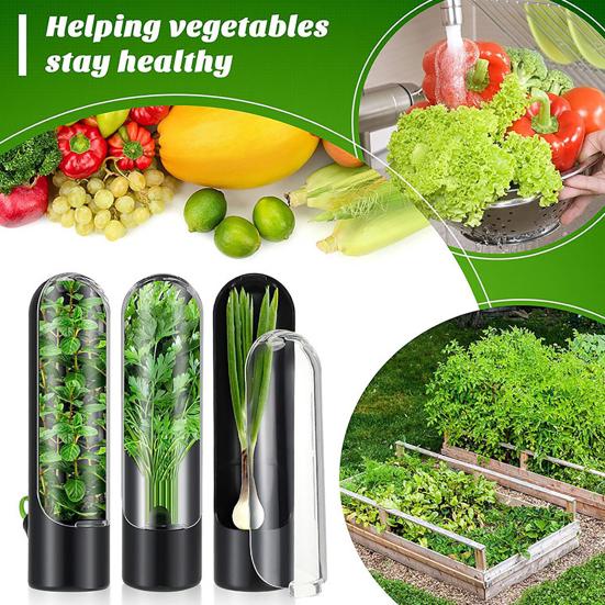 Хранитель трав для холодильника. Консервант для овощей. Хранитель свежести кинзы. Водонепроницаемые контейнеры для хранения тимьяна и укропа. Инструменты для консервации розмарина.