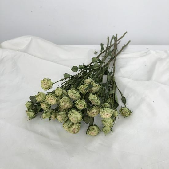 Jiunan Multiflora Dried Rose Bouquet for Living Room Decoration and DIY Arrangements.