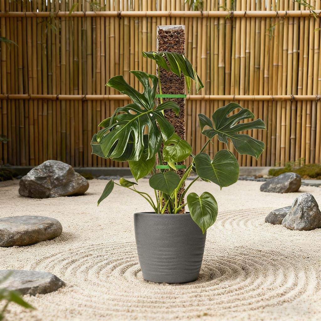 4pcs Plastic Plant Cages Supports Moss Pole Vertical Growth Support Sticks Monstera Plant Support For Climbing Plants 24x4 Inch