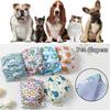 Short Pet Underwear Male Dog Shorts Prevent Bed Wetting Physiological Underwear Male Dog Pants Adjusting Diapers for Dog