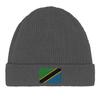 Bonnet Drapeau Tanzanie En Gris