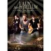 Own the Night World Tour by Lady Antebellum