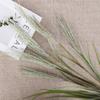 70 см длиной 5-головые имитация тростника луковая трава кортадерия искусственный цветок Entran имитация украшения собачий хвост трава для домашнего интерьера украшения