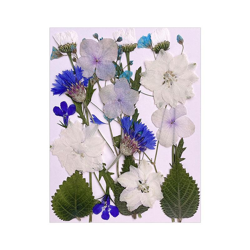 Прессованные сушеные цветы для наполнителей из смолы для изготовления ювелирных изделий. Настоящие натуральные растительные цветы для украшения ногтей.