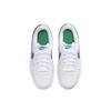 Nike Court Borough Low 2 GS White Photo Blue Kids Sneakers Pure-Platinum Stadium-Green BQ5448-123