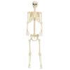 Realistic Full Body Human Bone Halloweens Props Flexible Joints Portable Plastic Indoor Outdoors Decoration 180Cm