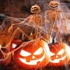 40cm Halloween Pumpkin Skeleton Funny Halloween Movable Skeleton Human Skeleton  Ghost Festival