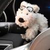 Клатч-украшение West Highland White Terrier Мультяшные куклы Декорация бампера автомобиля Подвесное украшение Щенячье декоративное