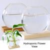 Деревянное искусство Домашнее украшение Цветочная композиция Растение Цветочный горшок Стеклянная ваза Гидропонная ваза для цветов